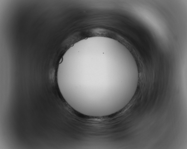 X0000088660765200705251002
