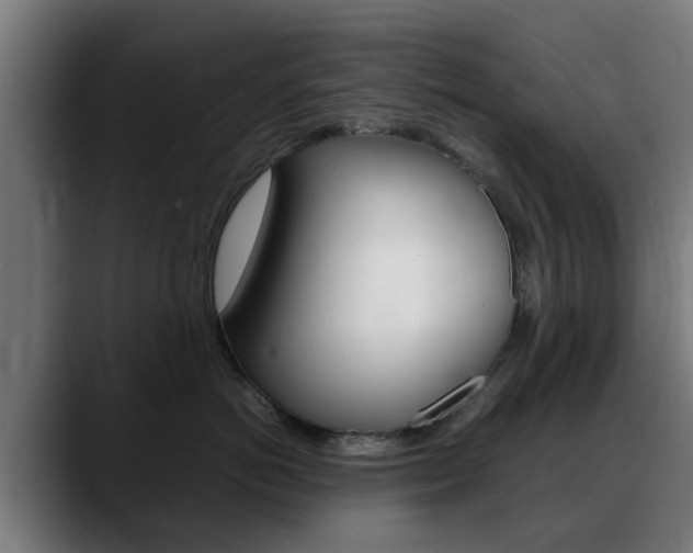 X0000088660766200705251002