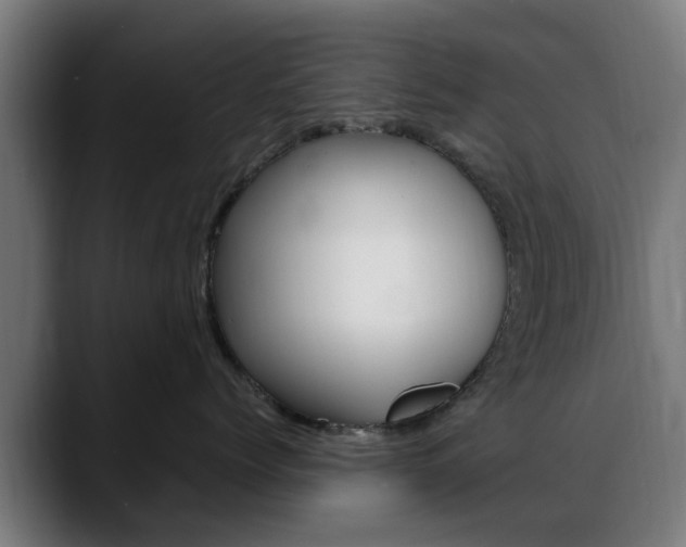 X0000088660768200705251002
