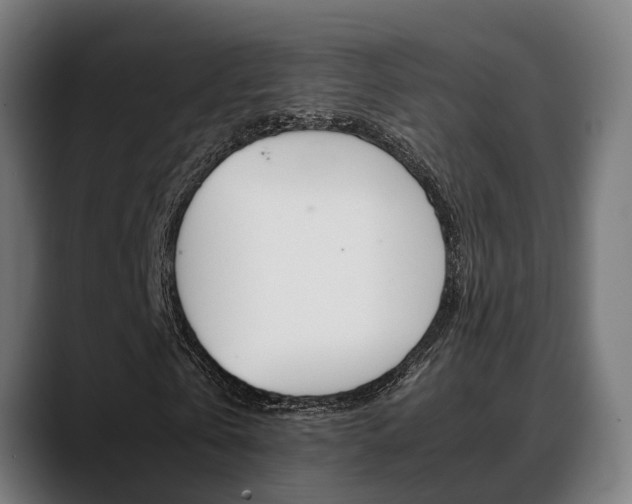 X0000088660769200705251001
