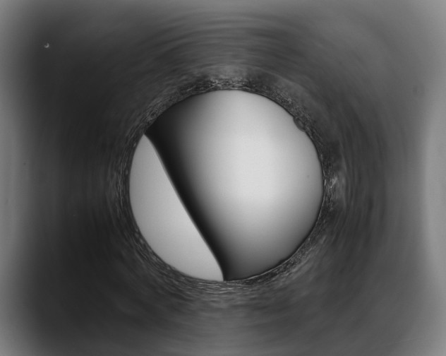 X0000088660772200705251001