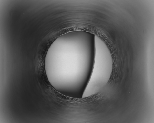 X0000088660773200705251001