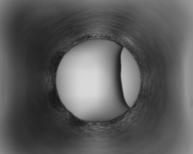 X0000088660774200705251001