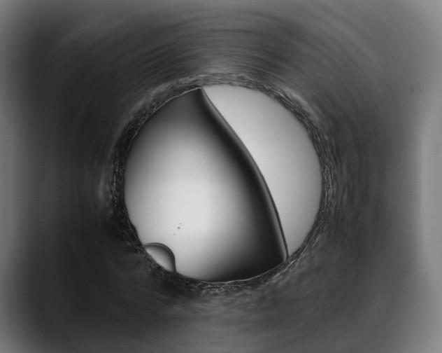 X0000088660776200705251001