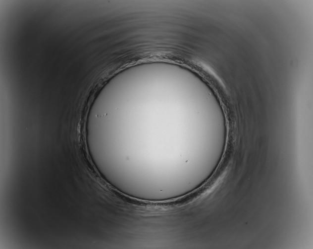 X0000088660777200705251001