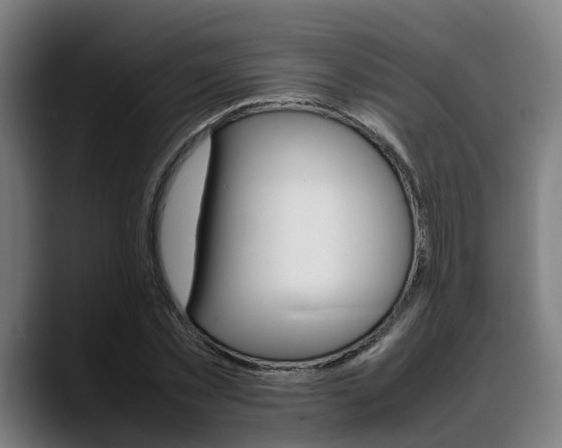 X0000088660781200705251001