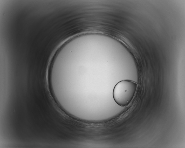 X0000088660788200705251001