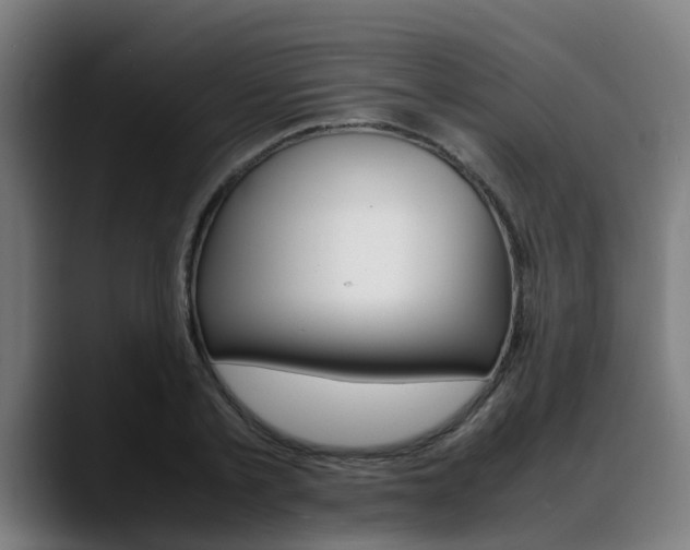X0000088660789200705251001