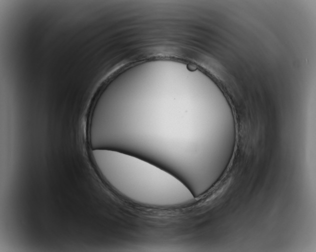 X0000088660790200705251001