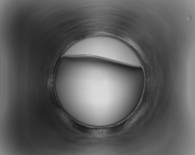 X0000088660793200705251001