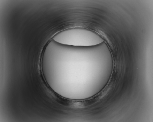 X0000088660794200705251001