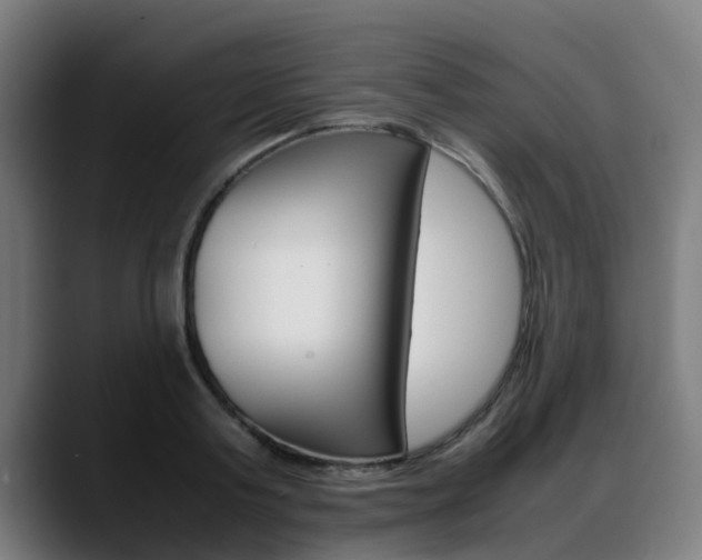 X0000088660795200705251001