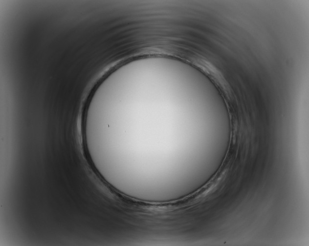 X0000088660796200705251001