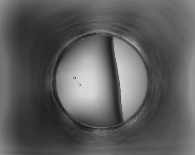 X0000088660799200705251001