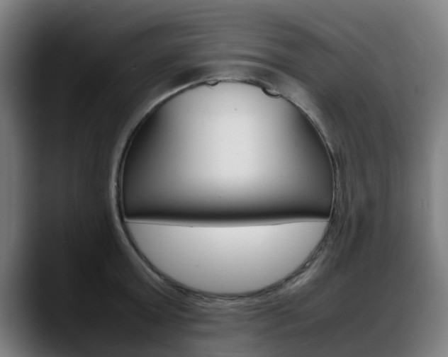 X0000088660803200705251001
