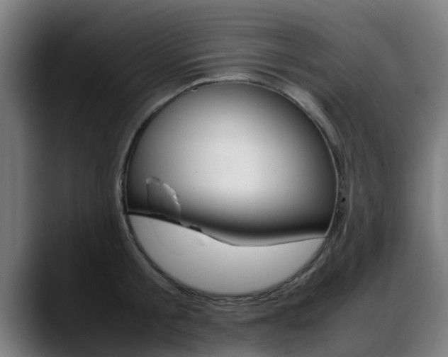 X0000088660805200705251001