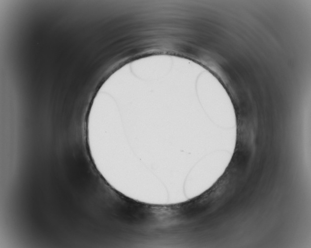 X0000088660807200705251000