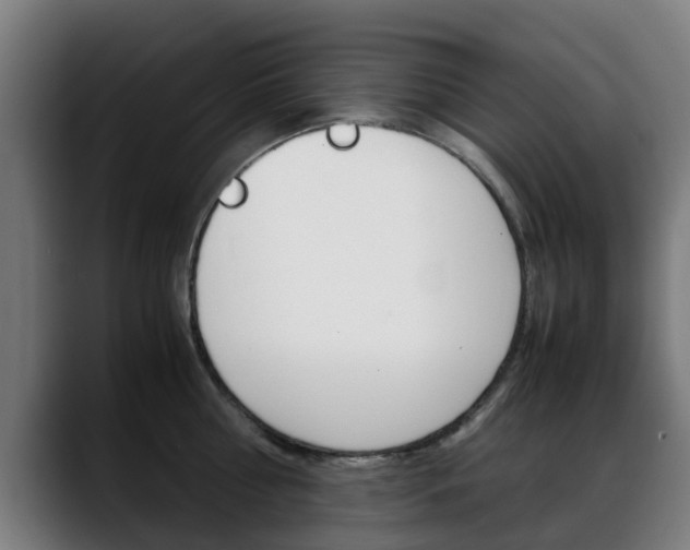X0000088660810200705251000