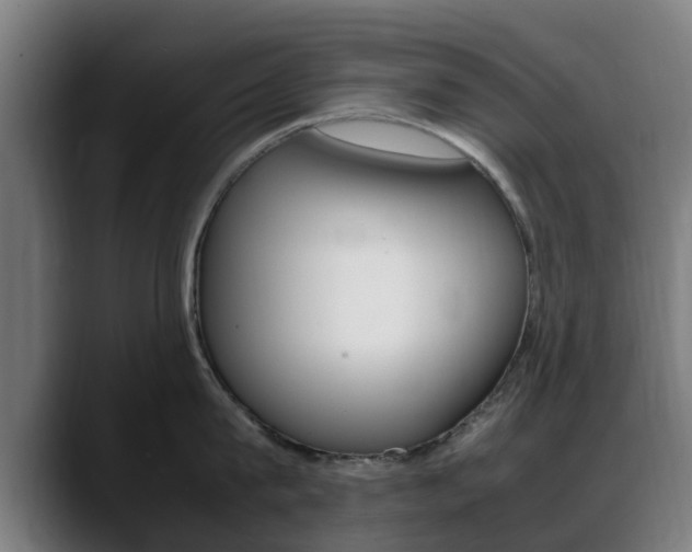 X0000088660815200705251000