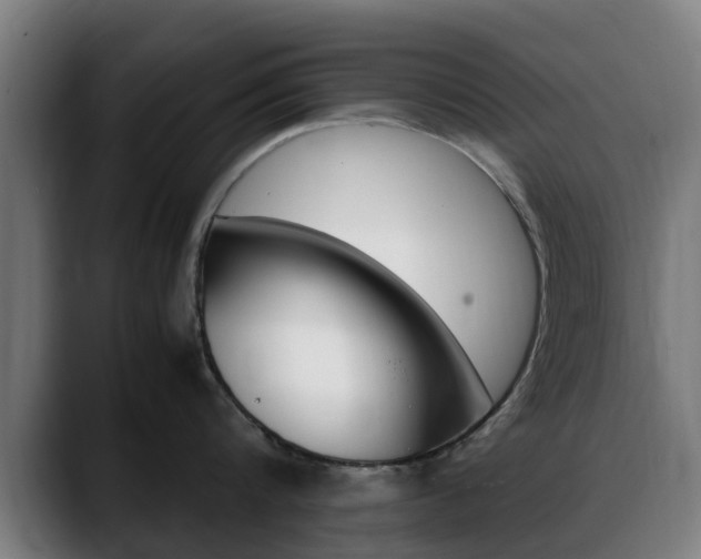 X0000088660816200705251000