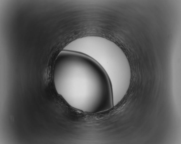 X0000088660818200705251000