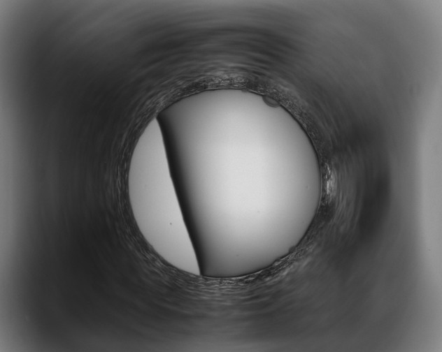 X0000088660819200705251000