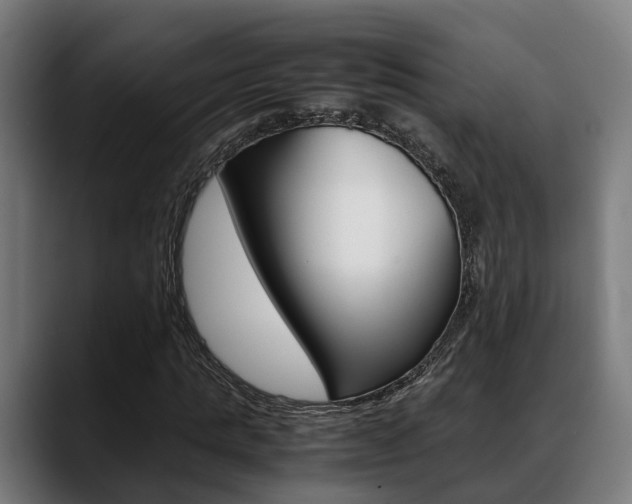 X0000088660821200705251000