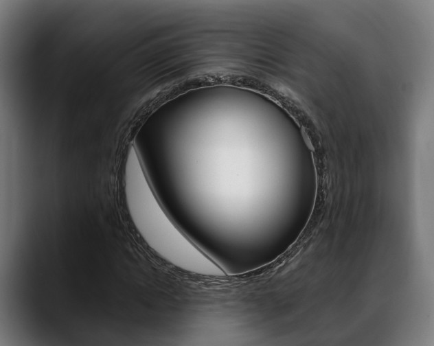X0000088660822200705251000