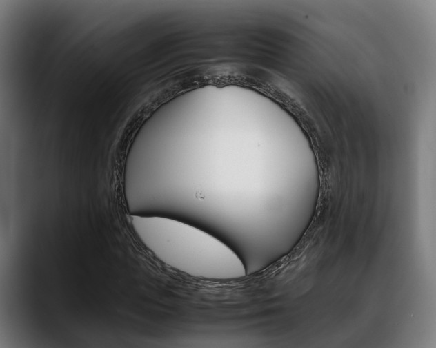 X0000088660823200705251000