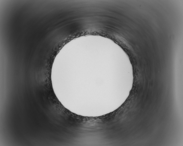X0000088660824200705251000