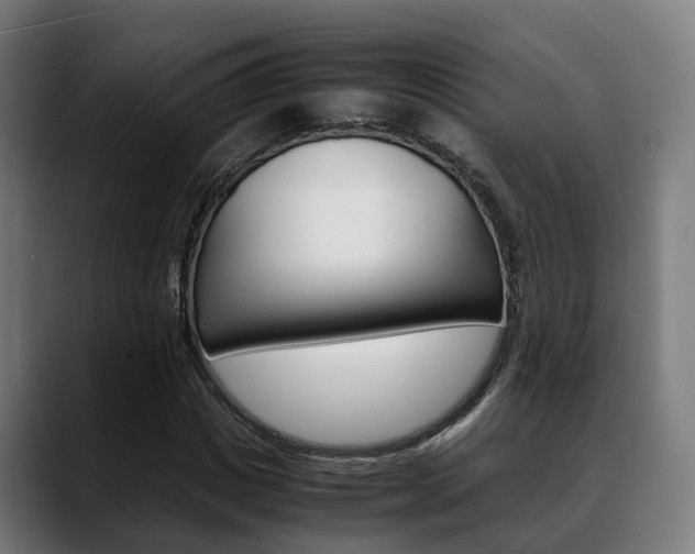 X0000088660825200705251000