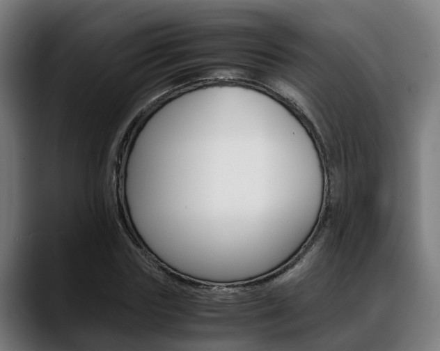 X0000088660827200705251000