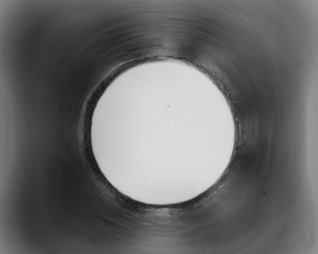X0000088660828200705251000