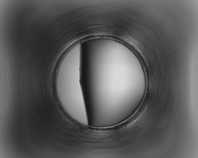 X0000088660829200705251000