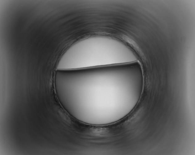 X0000088660833200705251000