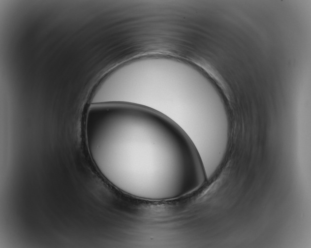 X0000088660834200705251000