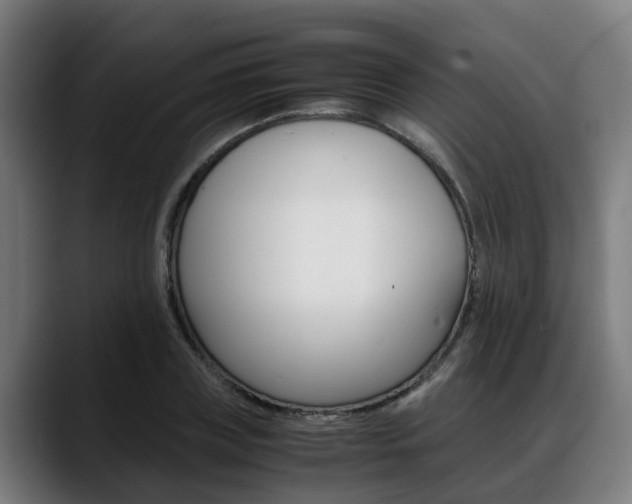 X0000088660835200705251000