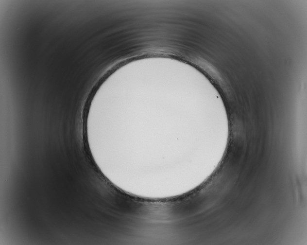 X0000088660836200705251000