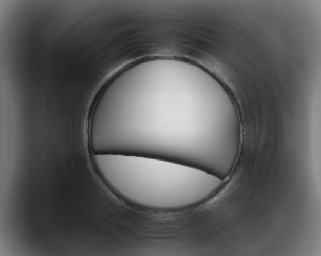 X0000088660839200705251000