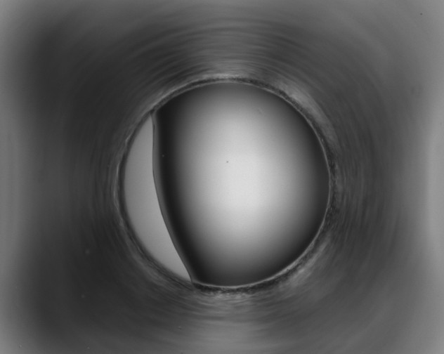 X0000088660842200705251000