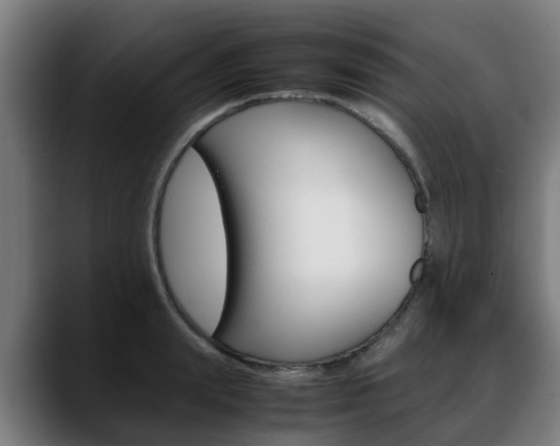 X0000088660847200705251000