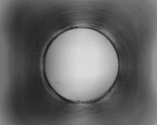 X0000088660848200705251000
