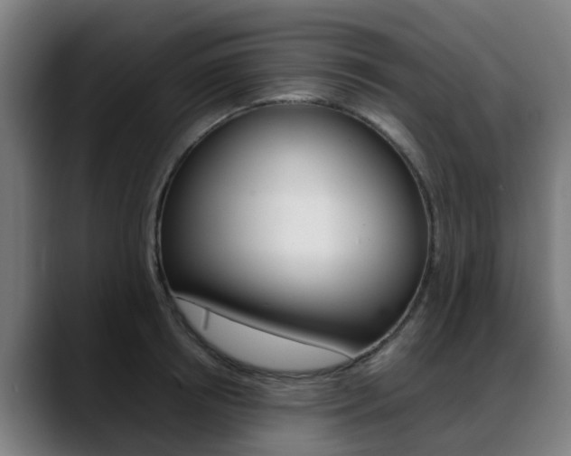 X0000088660850200705251000