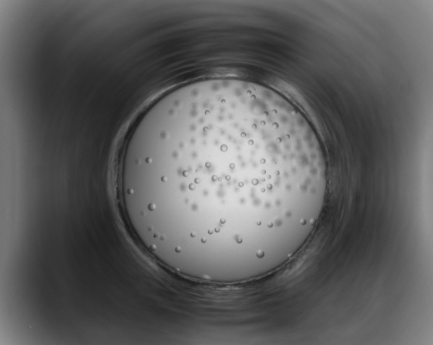 X0000088660851200705251000