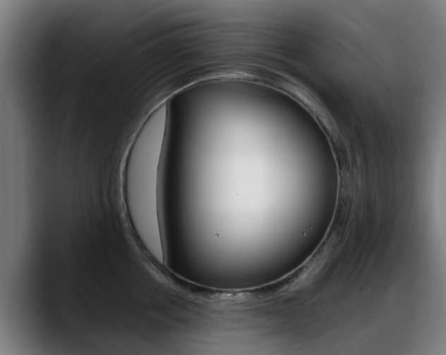 X0000088660858200705251000