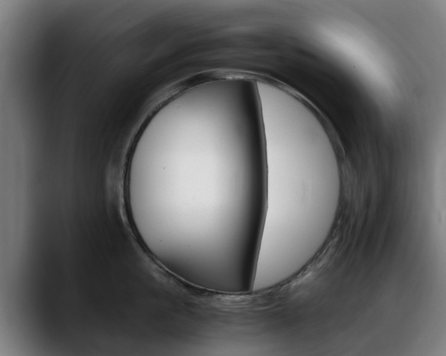 X0000088660861200705251000