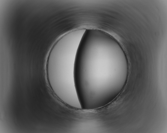 X0000088660864200705251000