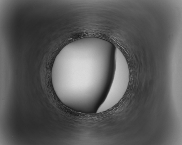 X0000088660865200705251000