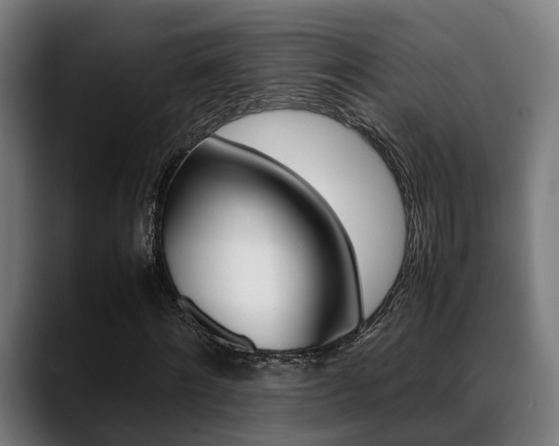 X0000088660868200705251000