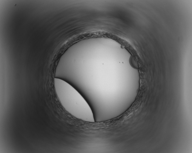 X0000088660871200705251000